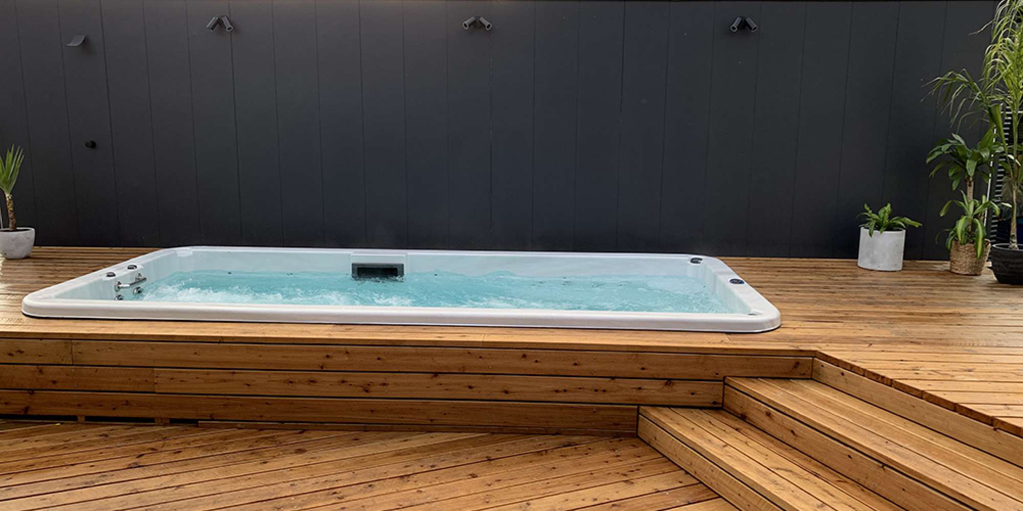 Swim Spas