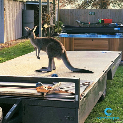 This cheeky little man wants a part of the action