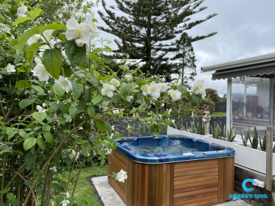 Spa pool in a beautifully landscaped backyard thanks to the team @ Paramount Pools Tauranga NZ